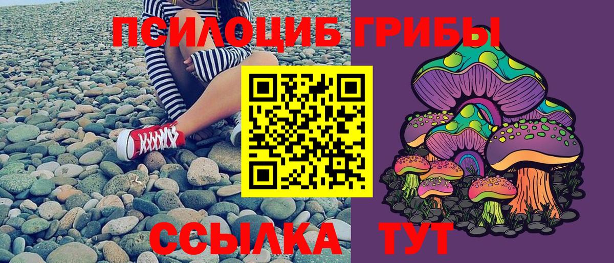 Псилоцибиновые грибы прущие грибы Бугуруслан